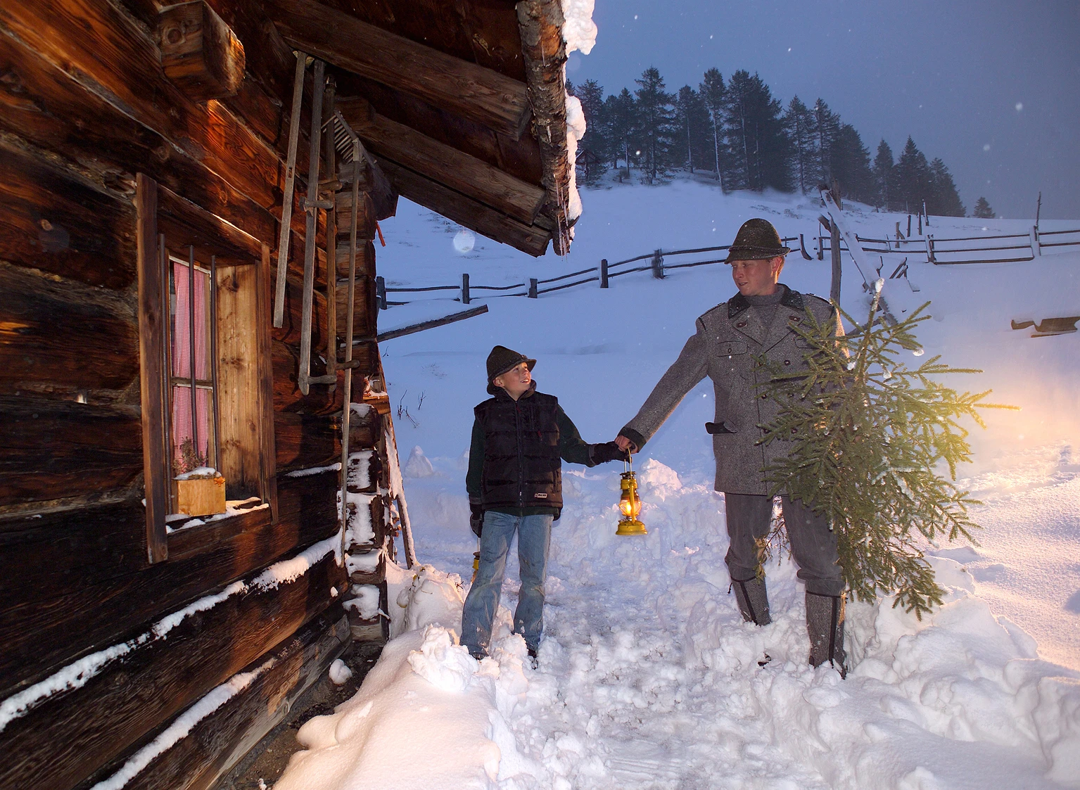 Christbaum im Advent
