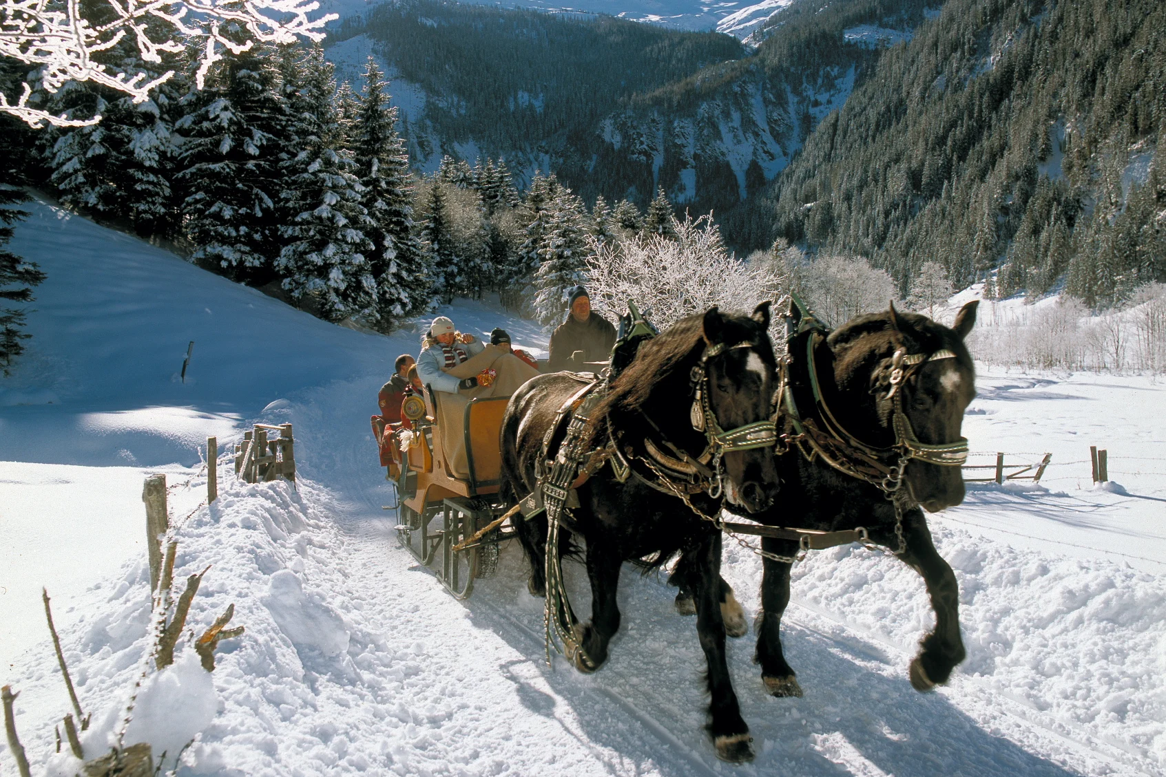 Pferdekutschenfahrt im Winter